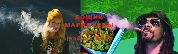 мескалин Заводоуковск
